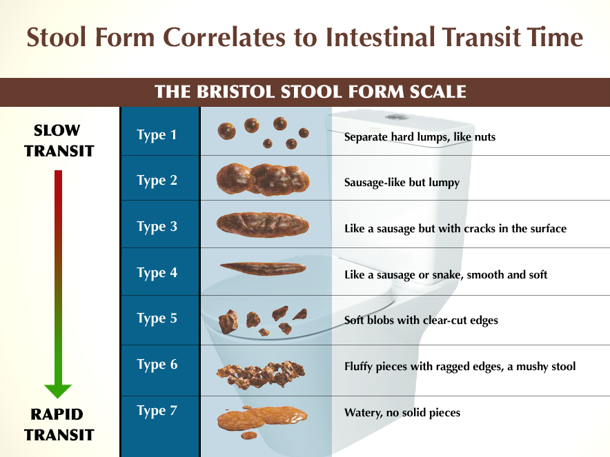 Balanced bowel movements